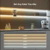 Dual-Color Temp COB Strip