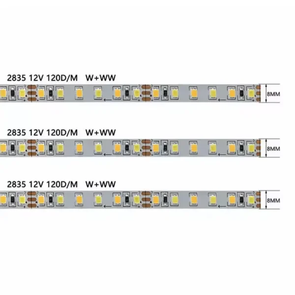 Double Color Temperature led strip