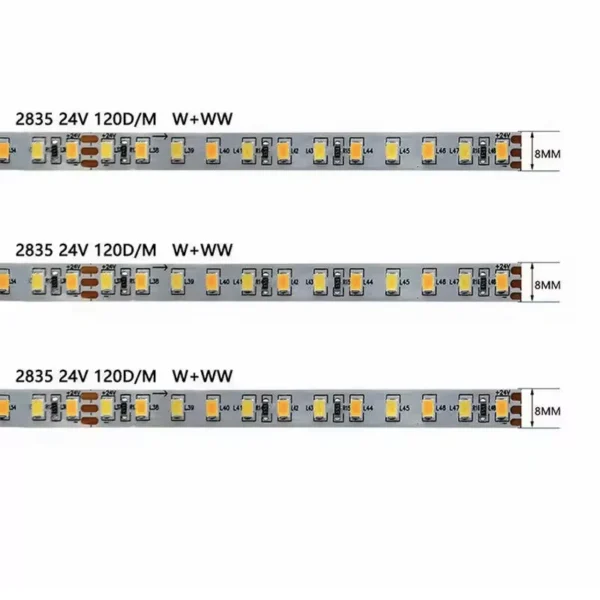 Double Color Temperature led strip