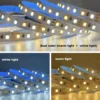 Double Color Temperature led strip