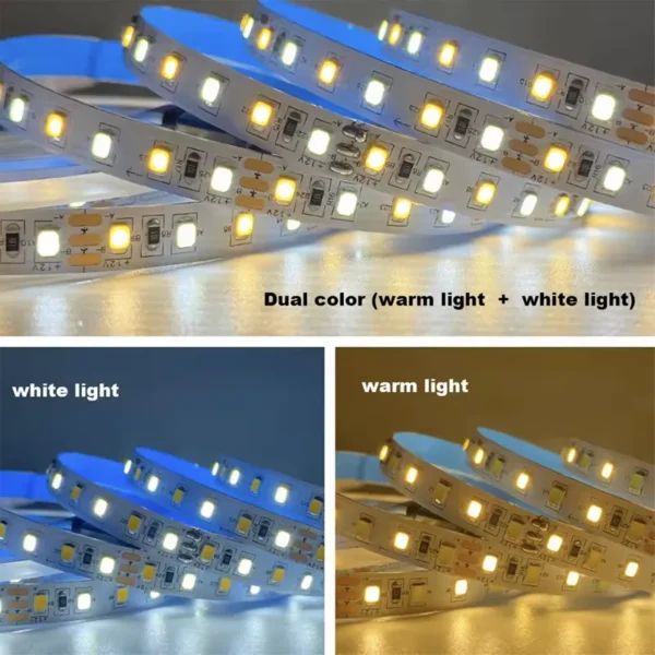 Double Color Temperature led strip